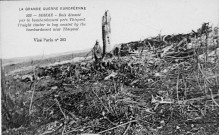 Bois dévasté par le bombardement près de Thiepval - Traight timber to bay wasted by the bombardment bear Thiepval