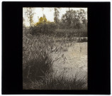 Une prise dans les marais de Cagny - 1902