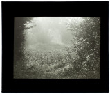 A Remiencourt brouillard - octobre 1933