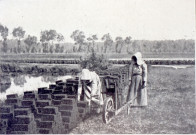 Séchage des mottes de tourbe sur le bord des marais; deux femmes transportent les mottes à l'aide de brouettes
