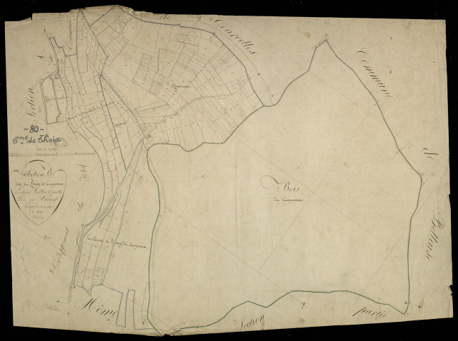 Plan du cadastre napoléonien - Thoix : Bois de Campreux (Le), B1