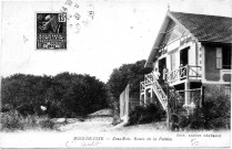 BOIS DE CISE - Sous-Bois - Route de la Falaise
