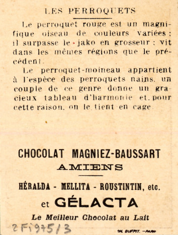 Chocolat Magniez-Baussart, Amiens. Perroquet rose