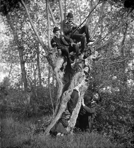 Scène humoristique. Portrait de personnages juchés sur un arbre creux
