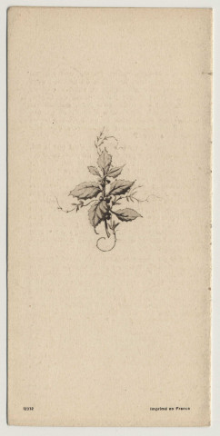 Souhaits aux Âmes de Bonne Volonté. La Crèche. Une branche de houx