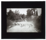 Moutons à Bourbel Seine-Inférieure - juillet 1911