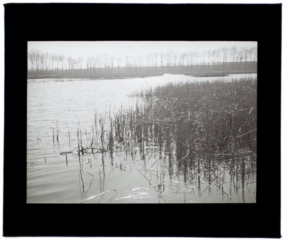Marais de Longueau - mars 1933