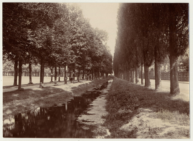 Une allée du parc de La Hotoie à Amiens