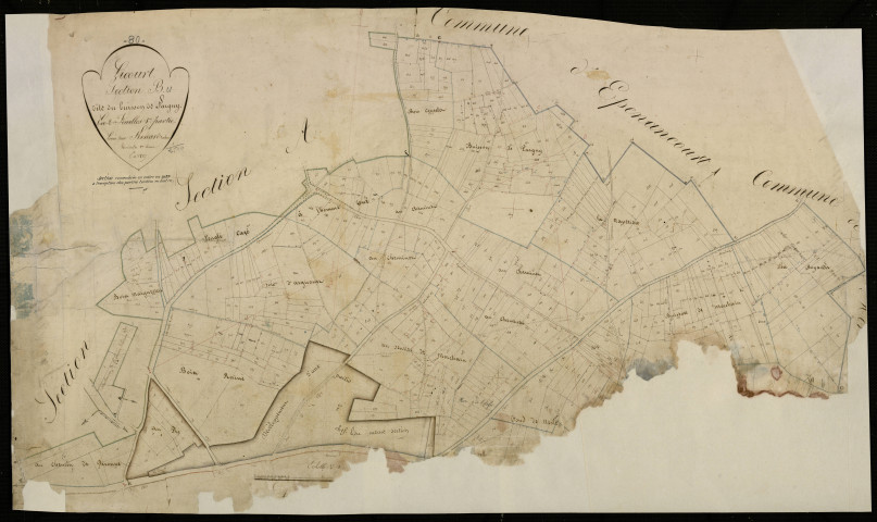 Plan du cadastre napoléonien - Licourt : Bois de Pargny (Le), B1