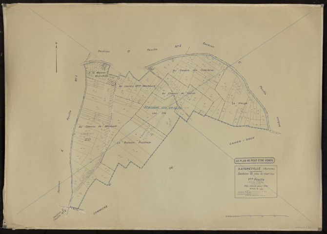 Plan du cadastre rénové - Saigneville : section D1