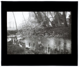 Marais de Pont-Noyelles - mai 1911