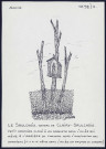 Le Saulchoix (hameau de Clairy-Saulchoix) : petit oratoire cloué à un arbuste - (Reproduction interdite sans autorisation - © Claude Piette)