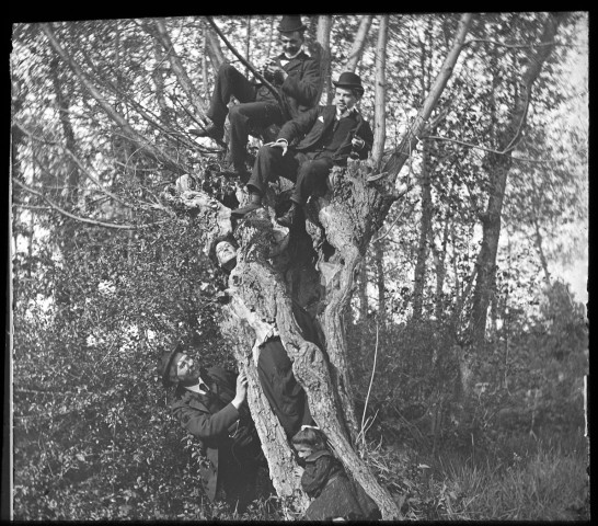 Portrait d'un groupe d'hommes perchés sur un arbre