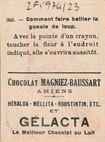 Chocolat Magniez-Baussart, Amiens. Image 346 : comment faire bailler une gueule de loup