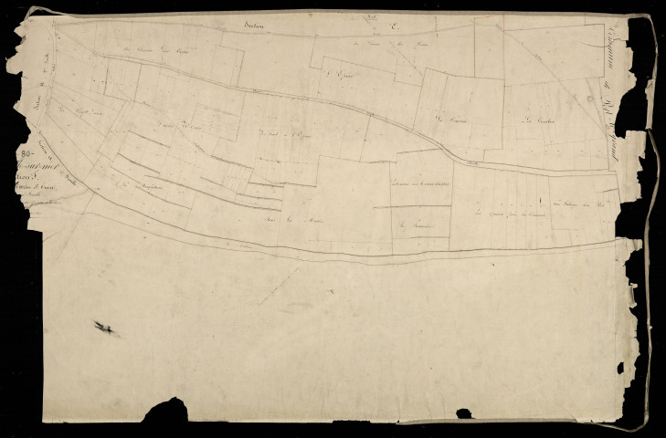 Plan du cadastre napoléonien - Noyelles-sur-Mer (Noyelle sur Mer) : Arbre Saint Ouën (L'), F