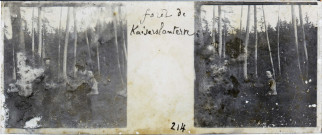 Forêt de Kaiserslautern