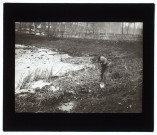 Dans les étangs de Guyencourt - février 1902