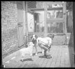 Portrait d'enfant jouant avec ses deux chiens