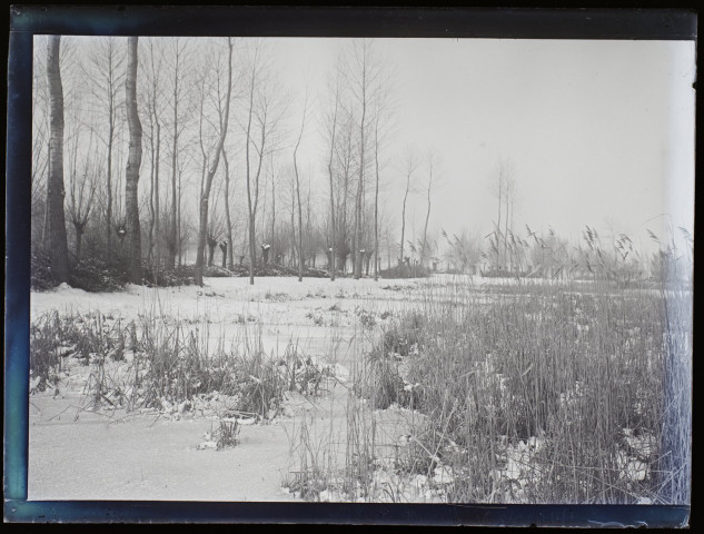 Marais de Lamotte-Brebière - février 1902