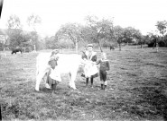 Scène rurale. Des enfants endimmanchés posant autour d'une vache