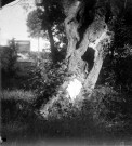 Portrait de fillette dans un arbre creux