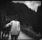 Charretier menant son cheval avec une cargaison de rondins de bois sur une route de montagne