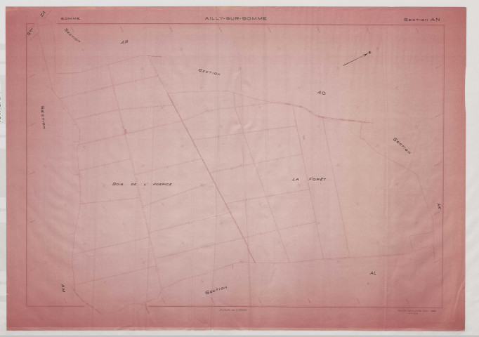 Plan du cadastre rénové - Ailly-sur-Somme : section AN