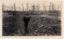 Boyau de communication dans un bois dévasté par les bombarements dans la Somme