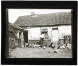 Martinsart (Somme). Delamotte Fuscien et ses poules