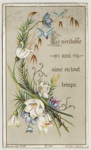 Le véritable ami aime en tout temps