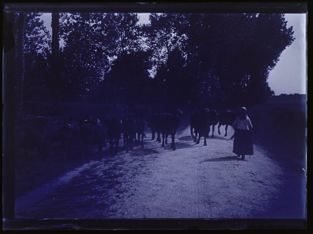 Route de Prouzel - juillet 1903