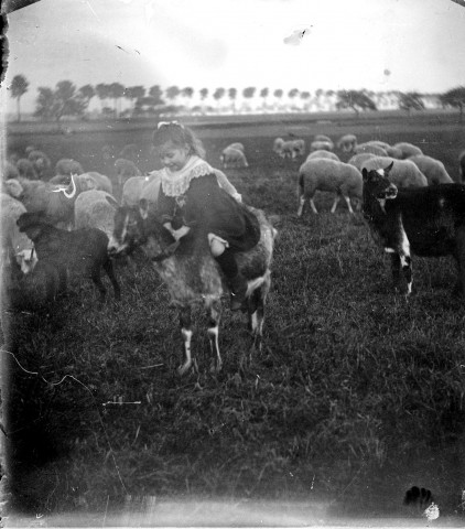 Portrait d'une fillette devant un troupeau de moutons