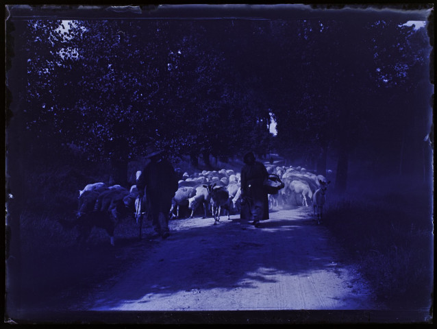 Route de Prouzel - juillet 1903