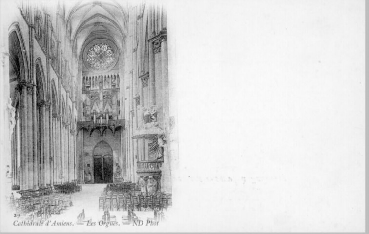 Cathédrale d'Amiens - Les orgues