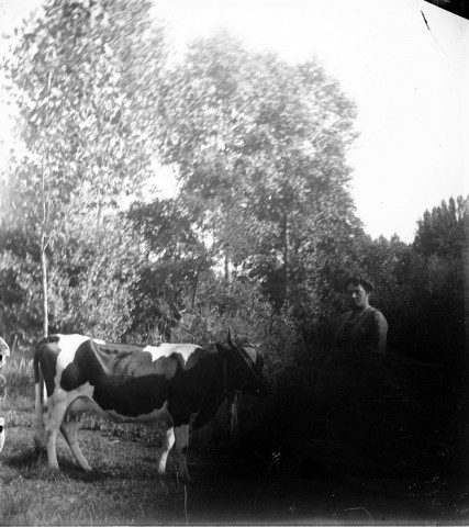 Portrait d'une femme et sa vache