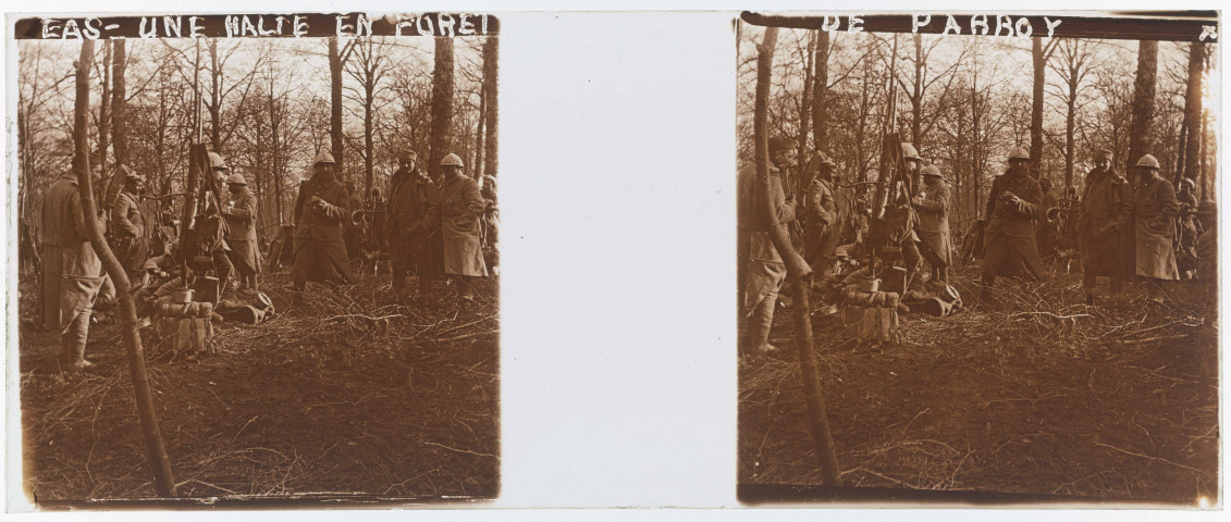 Une halte en forêt de Parroy