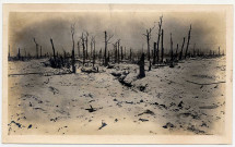 Paysage apocalyptique durant l'hiver 1916-1917. Le bois de Deniécourt complètement dévasté par les bombardements. Ne subsitent que quelques silhouettes fantomatiques d'arbres décharnés