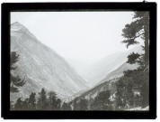 Vue prise sur le chemin de Riffelalp - juillet 1903