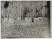 Marais de Berny - octobre 1906