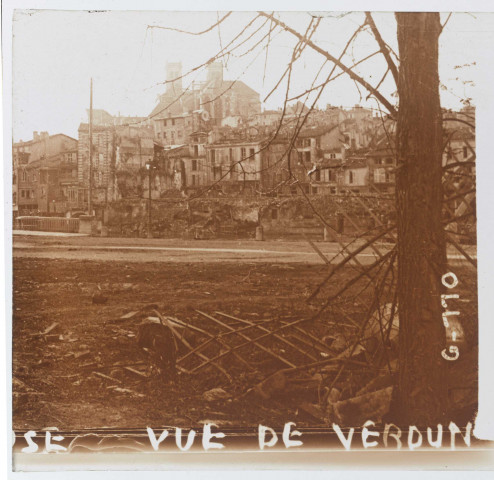 [Meu]se vue de Verdun et l'évéché, G110