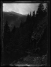 Vue prise sur le chemin des gorges de Ballendaz - juillet 1902