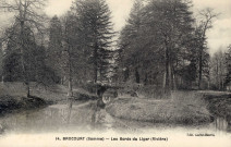 Brocourt (Somme) - Les Bords du Liger (Rivière)