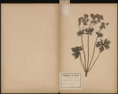 Geranium Pratense (L. Sp. : B. extr. Fl.), plante prélevée à Attilly (Aisne, France), dans le bois d'Holnon, 30 juin 1887