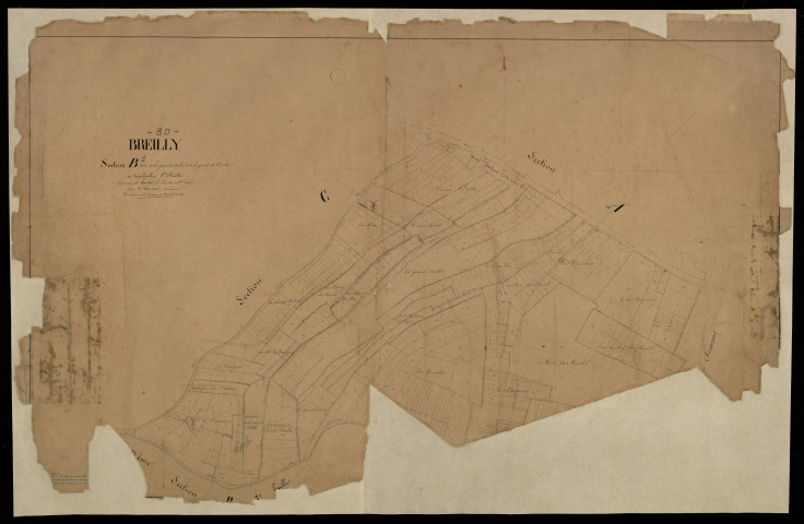 Plan du cadastre napoléonien - Breilly : Grande Vallée (La) ; Queue de Vache (La), B1