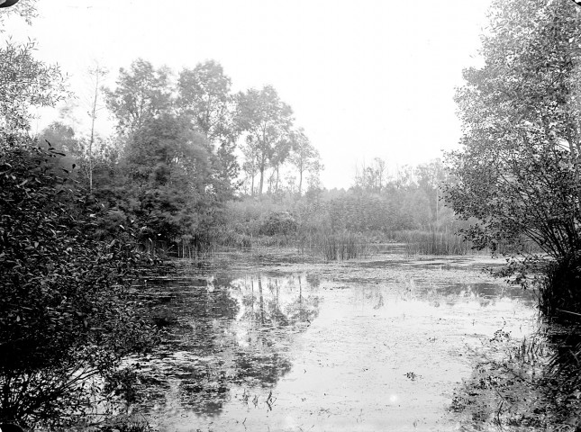 Paysage de marais, 1899