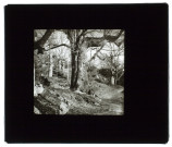Forêt de Fontainebleau - 1906