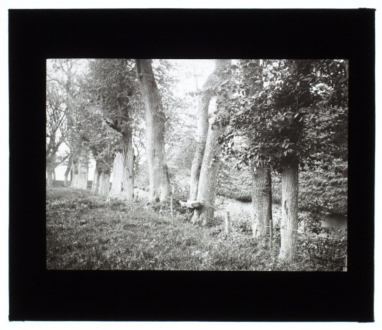 Cour de ferme aux environs de Saint-Valery - mai 1911