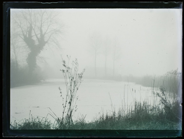 Marais de Boves près Cagny - février 1907