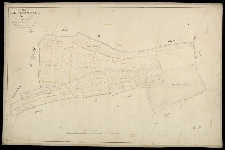 Plan du cadastre napoléonien - Hornoy-le-Bourg (Hallivillers-Lincheux) : Chemin de la Corbière (Le), D1