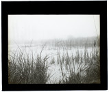 Marais de Boves - février 1907